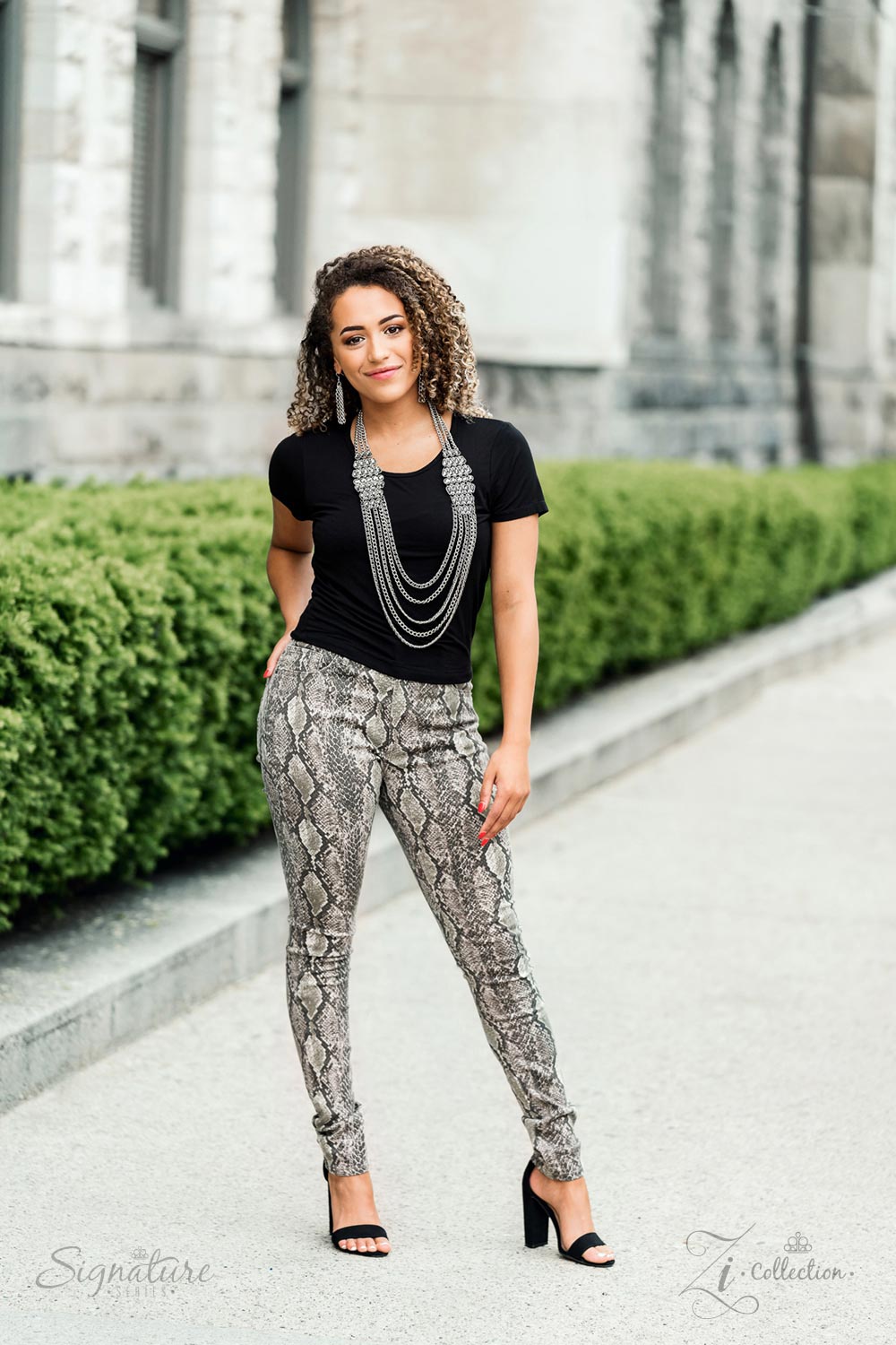 The Erika Zi Collection 2019 Silver Necklace - Paparazzi Accessories - jazzy-jewels-gems