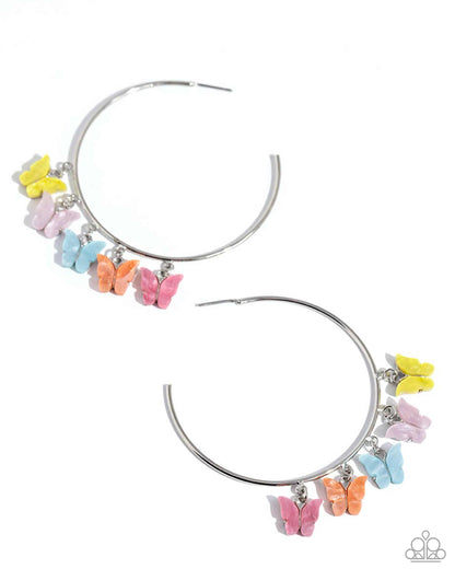 Bemusing Butterflies Multi Hoop Earring - Paparazzi Accessories Attached along an oversized silver hoop, a collection of different colored butterflies flutter and fly along the ear for a whimsical finish. Earring attaches to a standard post fitting. Hoop measures approximately 2 1/4" in diameter. Pattern of colors may vary. Sold as one pair of hoop earrings. P5HO-MTXX-104XX