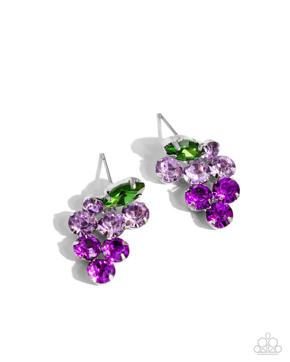 Grapevine Grace Purple Post Earring - Paparazzi Accessories  Pronged in silver fittings, a collection of round light purple rhinestones fade to darker purple rhinestones with a solitaire green marquise-cut leaf for an ombré, glittery grape-inspired display. Earring attaches to a standard post fitting.  Sold as one pair of post earrings.  P5PO-PRXX-034XX