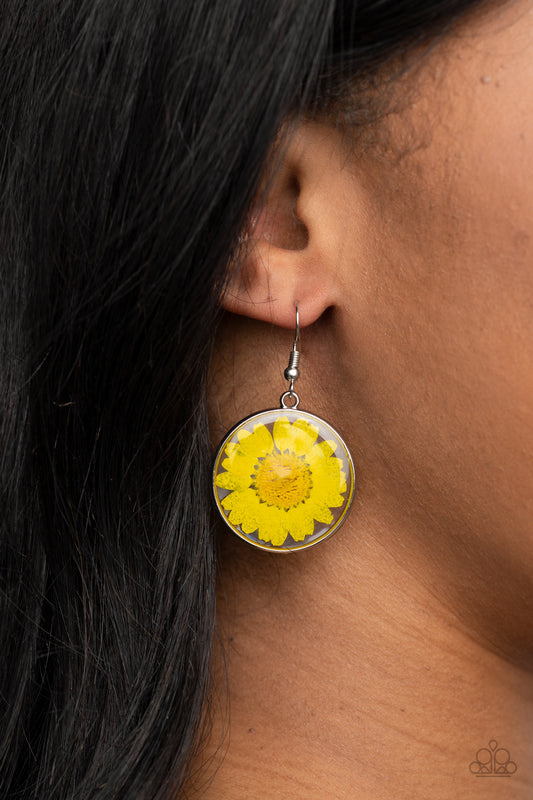 Forever Florals Yellow Earring - Paparazzi Accessories  Bordered in a silver fitting, a pressed yellow daisy is encased inside a glassy frame for an enchanted floral look. Earring attaches to a standard fishhook fitting.  ﻿All Paparazzi Accessories are lead free and nickel free!  Sold as one pair of earrings.