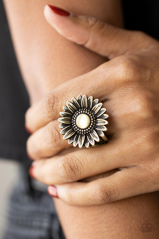 Farmstead Fashion Brass Ring - Paparazzi Accessories  Brushed in an antiqued finish, a rustic brass daisy blooms atop a decorative studded and embossed brass band for a simply seasonal look. Features a stretchy band for a flexible fit.  Sold as one individual ring.
