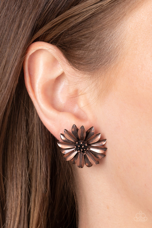 Daisy Dilemma Copper Post Earring - Paparazzi Accessories  Layers of burnished copper petals flare out from a copper studded center, blooming into a rustic floral fantasy. Earring attaches to a standard post fitting.  Sold as one pair of post earrings.